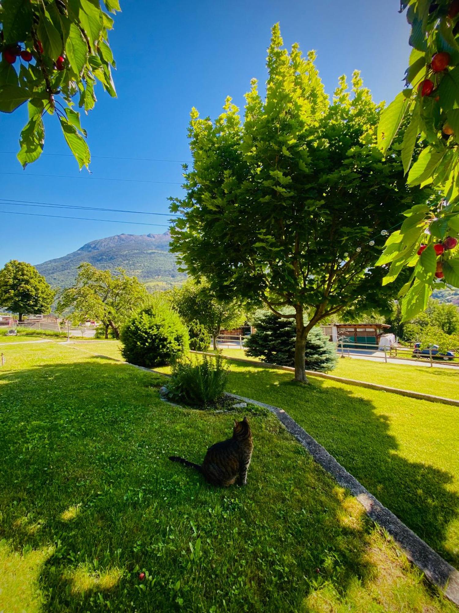 La Casetta Di Francio & Marta Aosta Buitenkant foto
